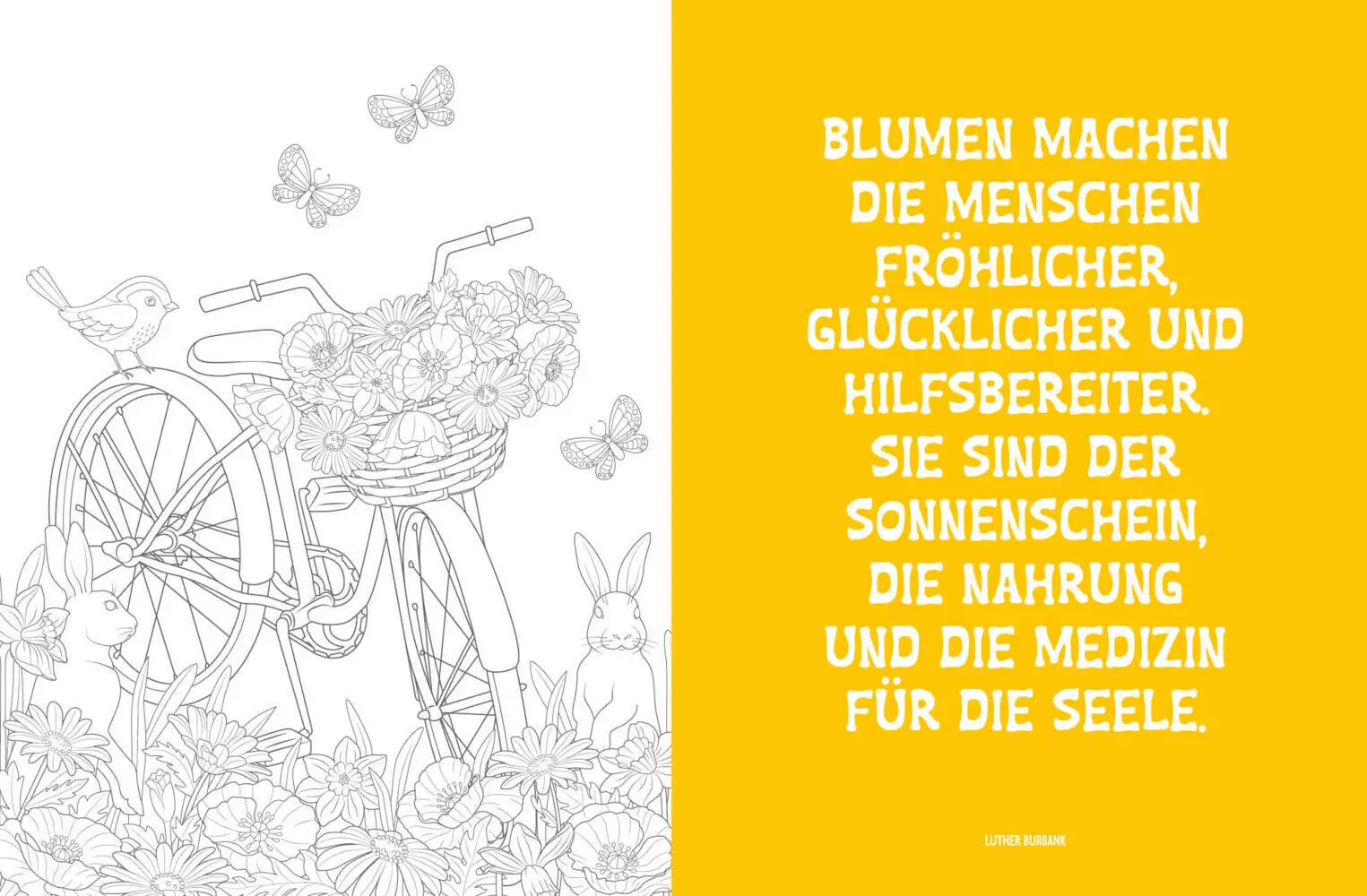 Bild: 9783745927139 | Colorful Mandala - Blüten und Schmetterlinge | Taschenbuch | 96 S.