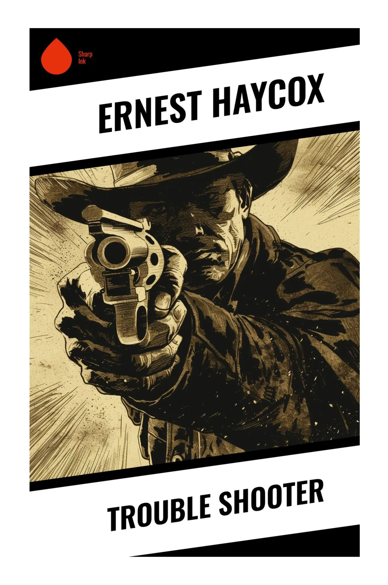 Cover: 9788028357139 | Trouble Shooter | Ernest Haycox | Taschenbuch | Englisch | 2023