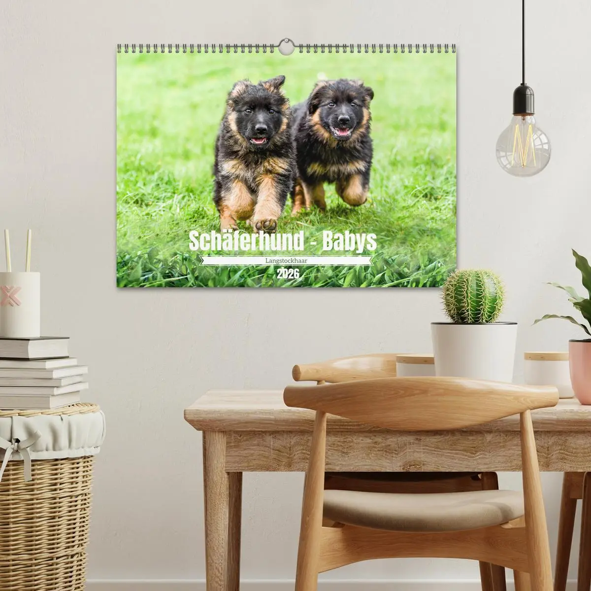 Bild: 9783457517239 | Langstockhaar - Schäferhund - Babys (Wandkalender 2026 DIN A3...
