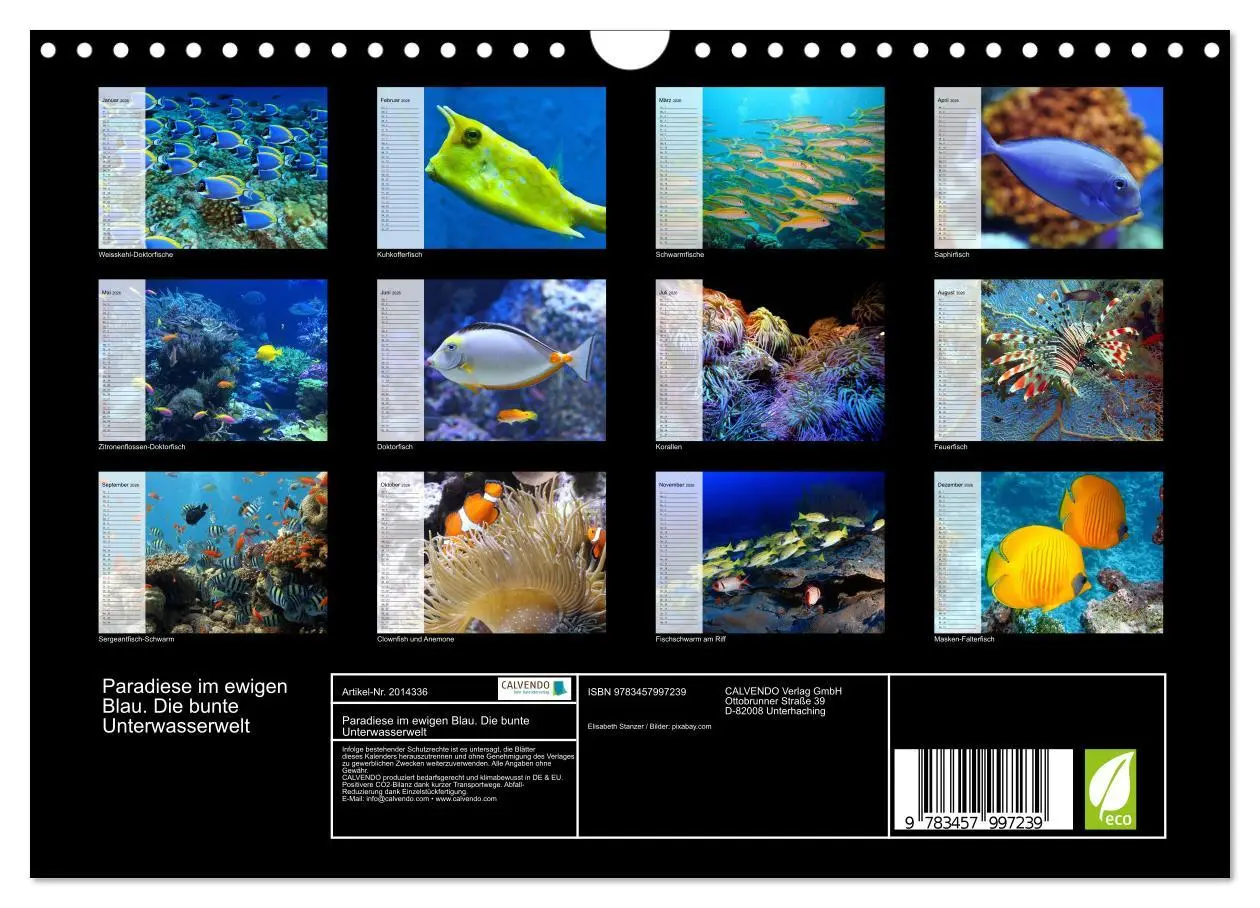 Bild: 9783457997239 | Paradiese im ewigen Blau. Die bunte Unterwasserwelt (Wandkalender...