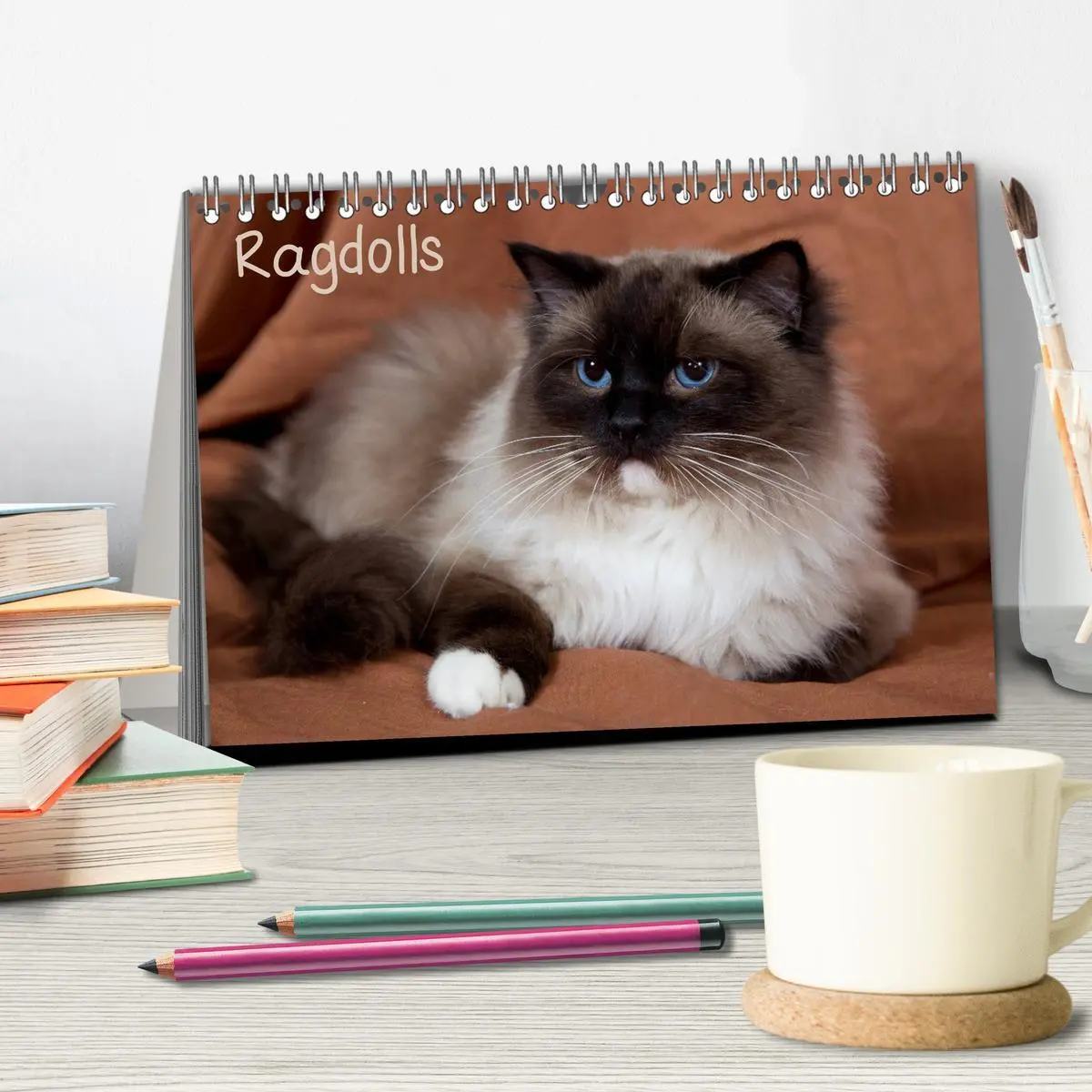 Bild: 9783516157239 | Ragdolls (Tischkalender 2026 DIN A5 quer), CALVENDO Monatskalender