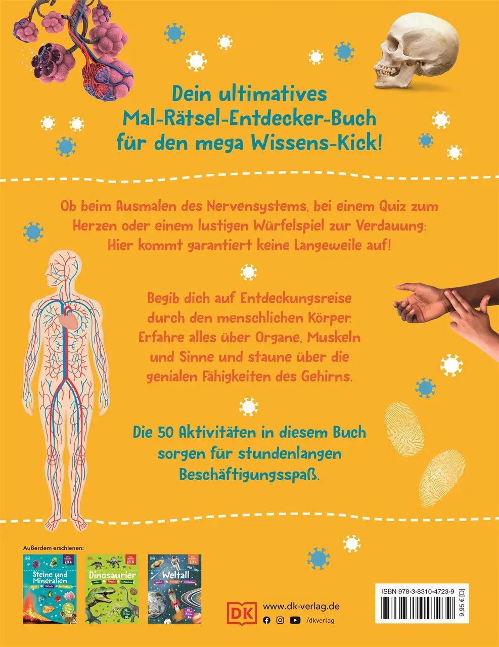Rückseite: 9783831047239 | Mein Mitmach-Wissens-Kick. Körper | DK Verlag - Kids | Taschenbuch