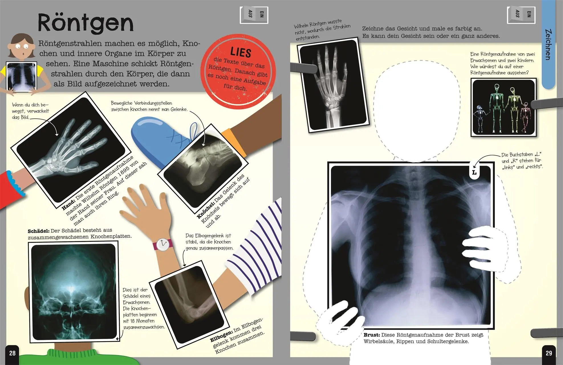 Bild: 9783831047239 | Mein Mitmach-Wissens-Kick. Körper | DK Verlag - Kids | Taschenbuch