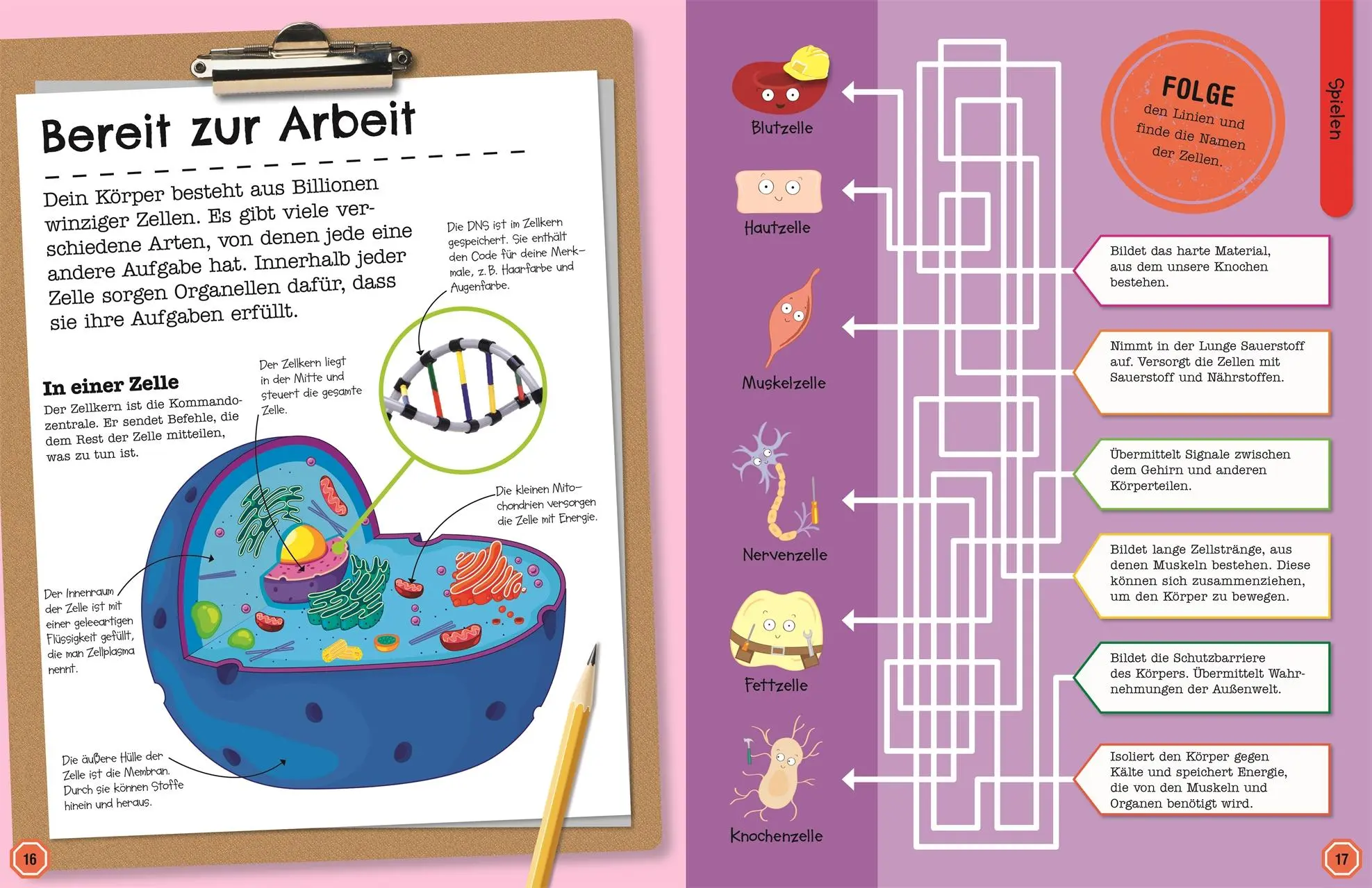 Bild: 9783831047239 | Mein Mitmach-Wissens-Kick. Körper | DK Verlag - Kids | Taschenbuch