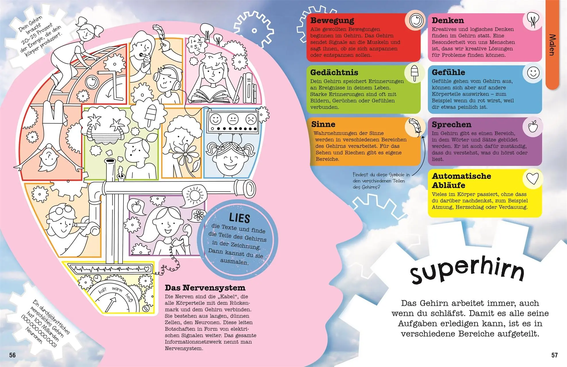 Bild: 9783831047239 | Mein Mitmach-Wissens-Kick. Körper | DK Verlag - Kids | Taschenbuch