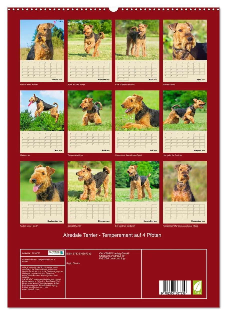Bild: 9783516387339 | Airedale Terrier - Temperament auf 4 Pfoten (hochwertiger Premium...