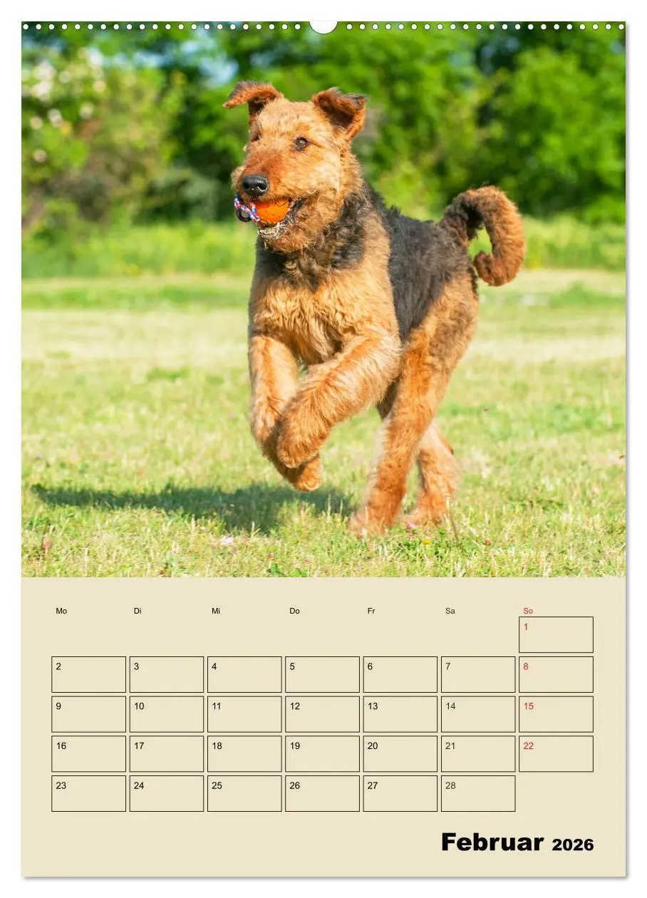Bild: 9783516387339 | Airedale Terrier - Temperament auf 4 Pfoten (hochwertiger Premium...