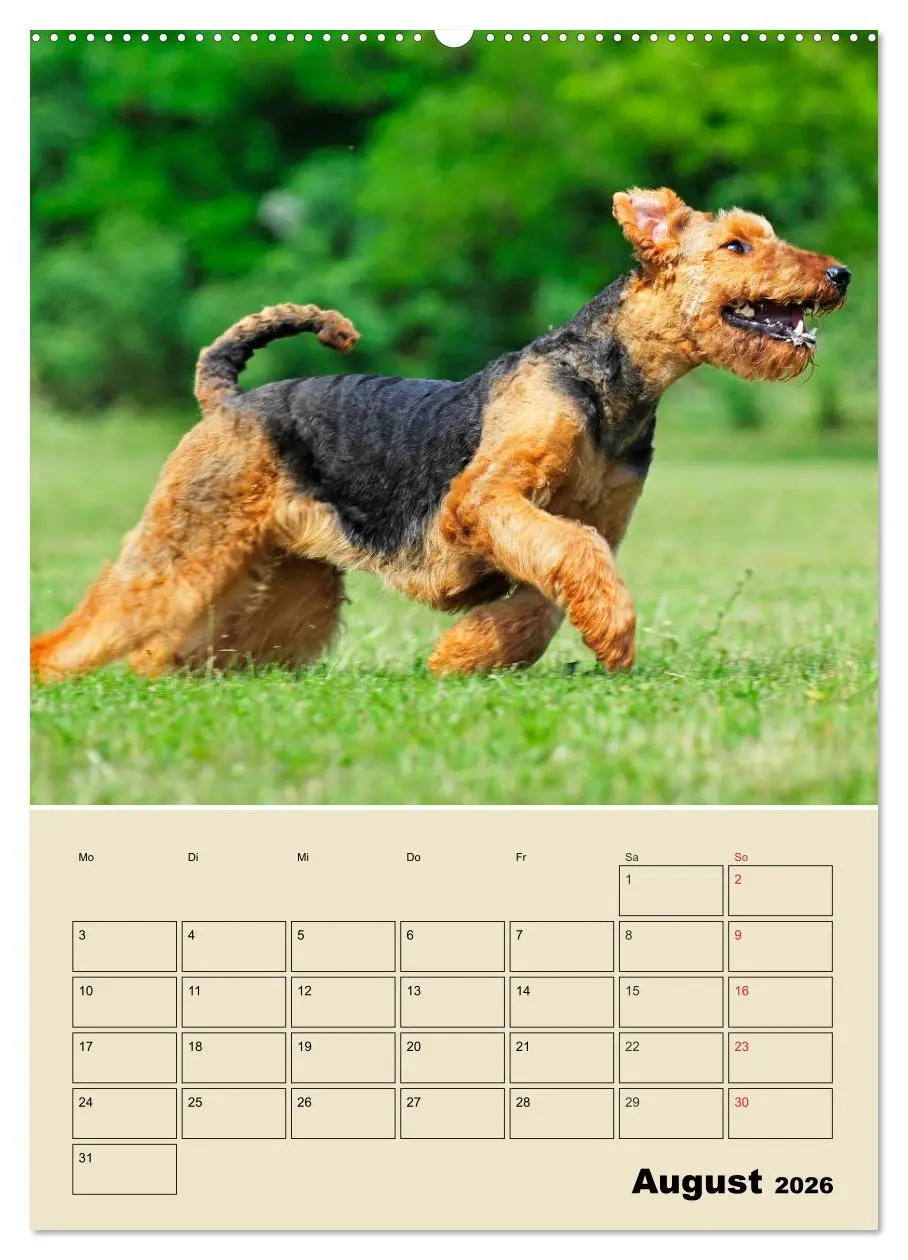 Bild: 9783516387339 | Airedale Terrier - Temperament auf 4 Pfoten (hochwertiger Premium...