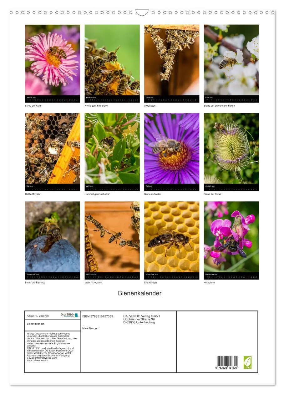 Bild: 9783516457339 | Bienenkalender (Wandkalender 2026 DIN A2 hoch), CALVENDO...