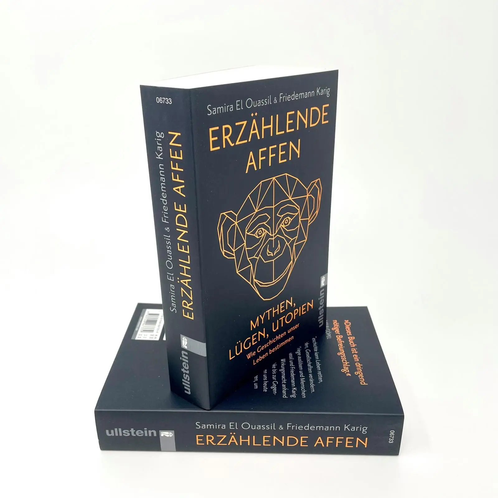 Bild: 9783548067339 | Erzählende Affen | Samira El Ouassil (u. a.) | Taschenbuch | 544 S.