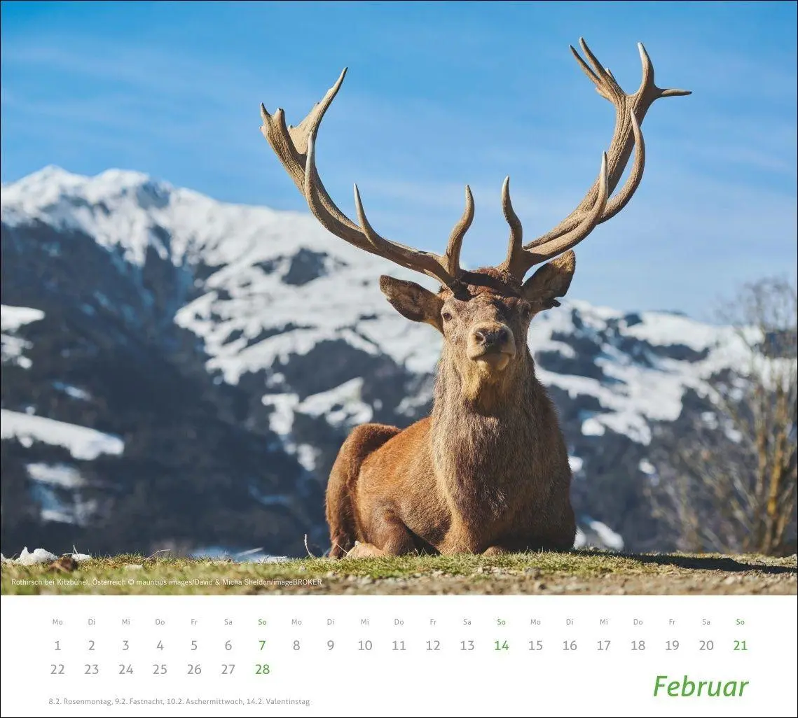 Bild: 9783756417339 | times&amp;more Alpen Bildkalender 2027 | Heye | Kalender | Spiralbindung