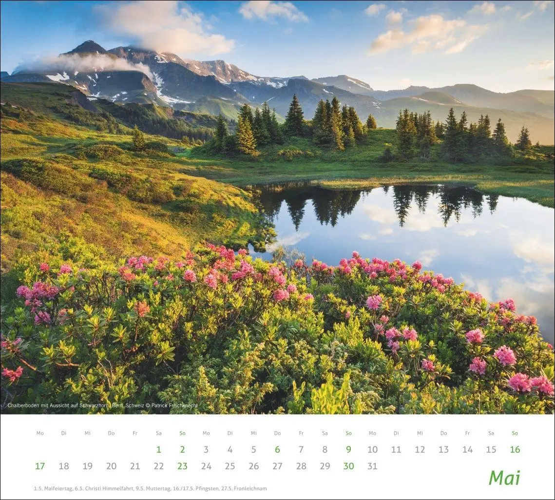 Bild: 9783756417339 | times&amp;more Alpen Bildkalender 2027 | Heye | Kalender | Spiralbindung