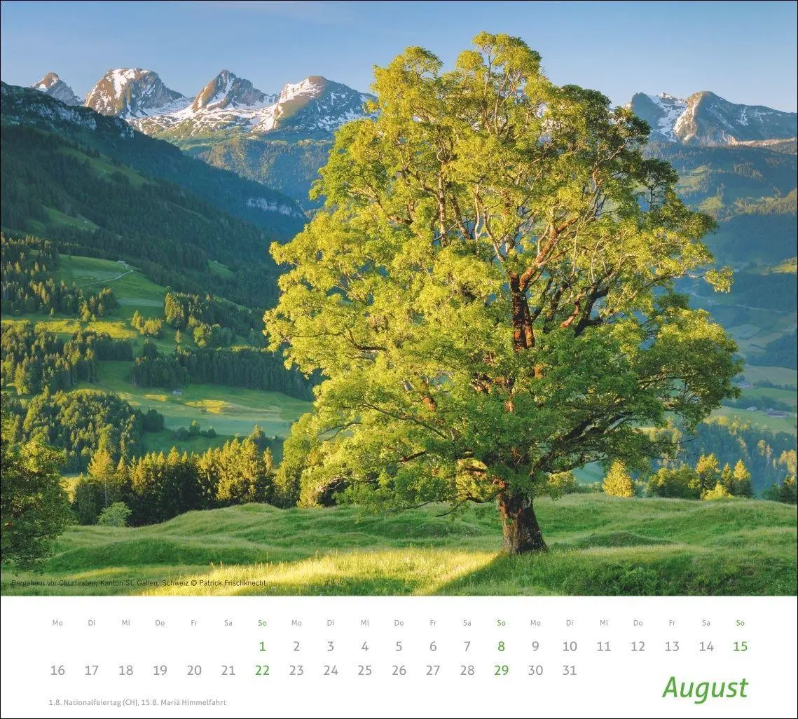 Bild: 9783756417339 | times&amp;more Alpen Bildkalender 2027 | Heye | Kalender | Spiralbindung