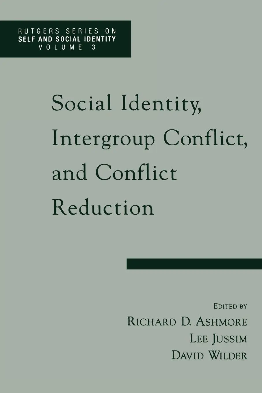 Cover: 9780195137439 | Social Identity, Intergroup Conflict, and Conflict Resolution | Buch