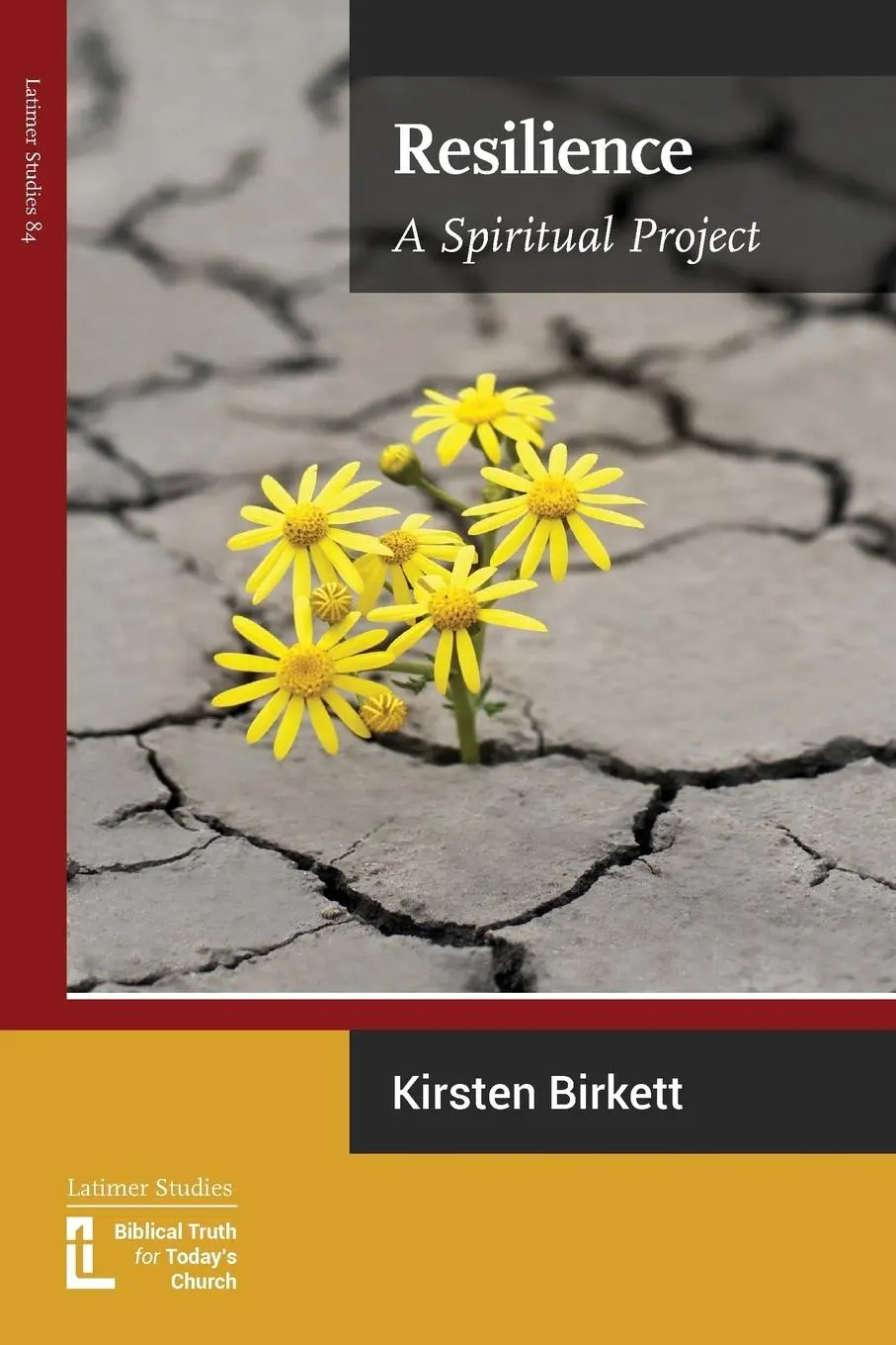 Cover: 9781906327439 | Resilience | A Spiritual Project | Kirsten Birkett | Taschenbuch