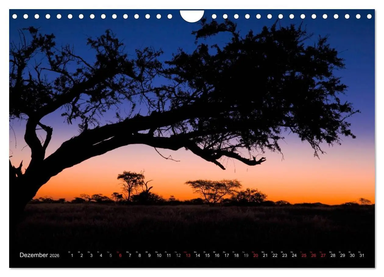 Bild: 9783516067439 | Namib Naukluft Nationalpark. NAMIBIA 2026 (Wandkalender 2026 DIN A4...