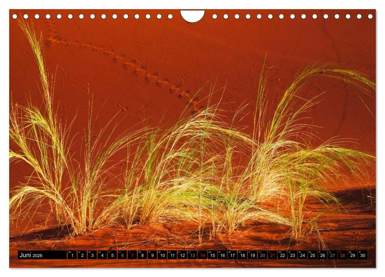 Bild: 9783516067439 | Namib Naukluft Nationalpark. NAMIBIA 2026 (Wandkalender 2026 DIN A4...