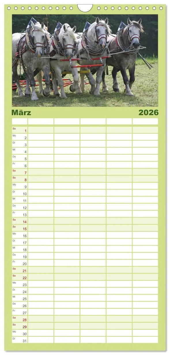 Bild: 9783516517439 | Familienplaner 2026 - Starke Pferde bei der Arbeit mit 5 Spalten...