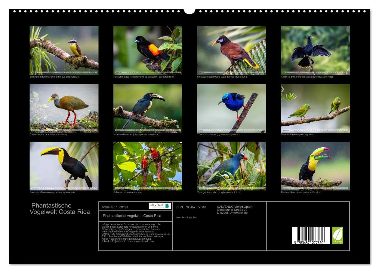 Bild: 9783457277539 | Phantastische Vogelwelt Costa Rica (hochwertiger Premium...