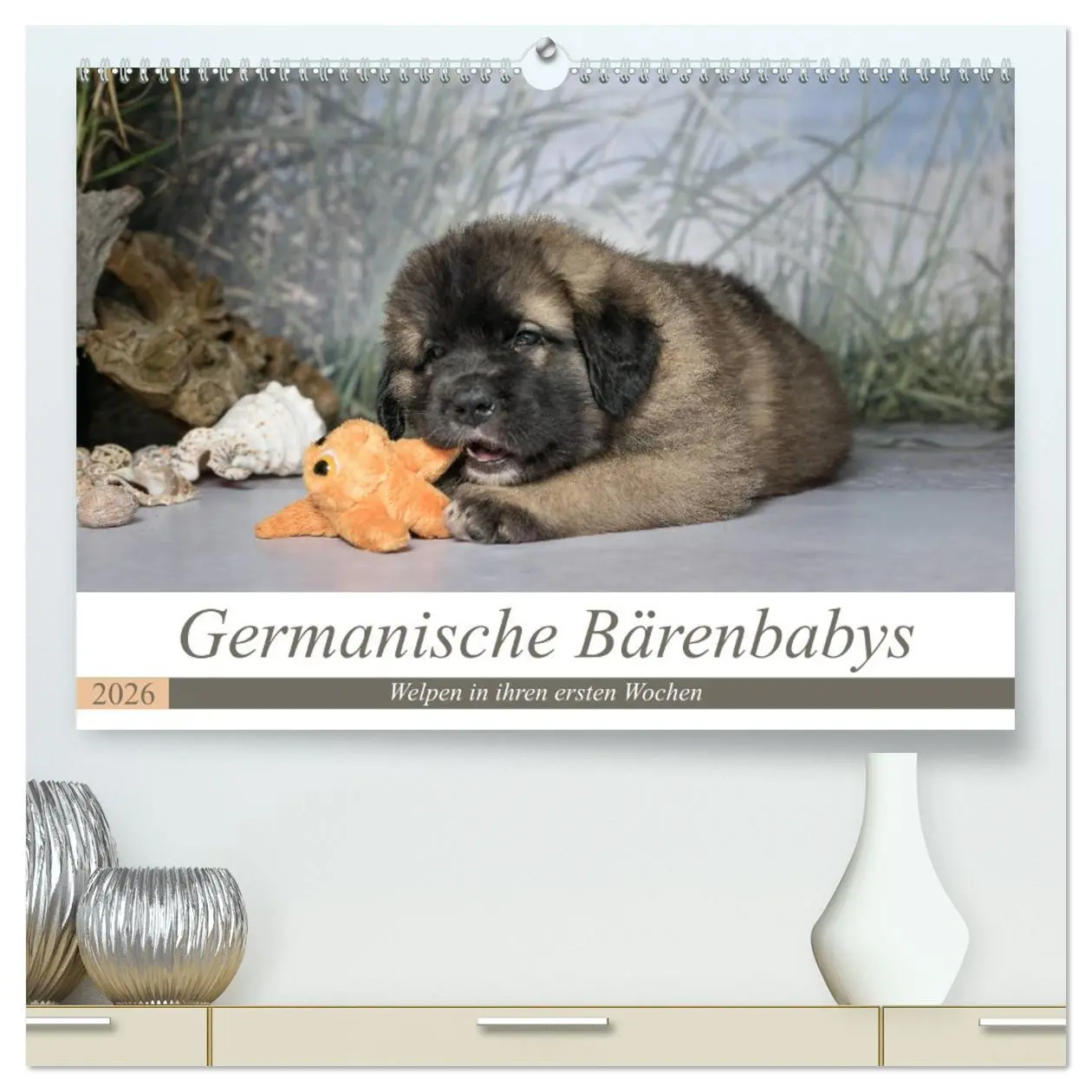 Cover: 9783457727539 | Germanische Bärenbabys (hochwertiger Premium Wandkalender 2026 DIN...