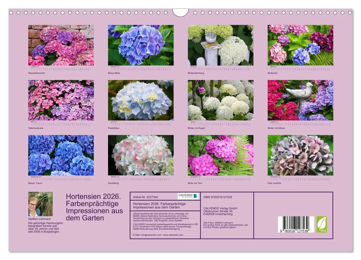 Bild: 9783516127539 | Hortensien 2026. Farbenprächtige Impressionen aus dem Garten...