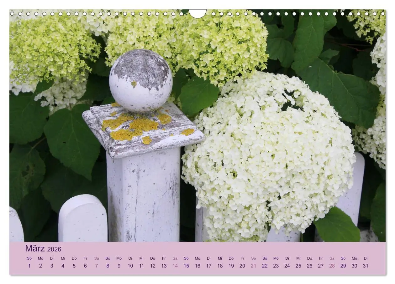 Bild: 9783516127539 | Hortensien 2026. Farbenprächtige Impressionen aus dem Garten...