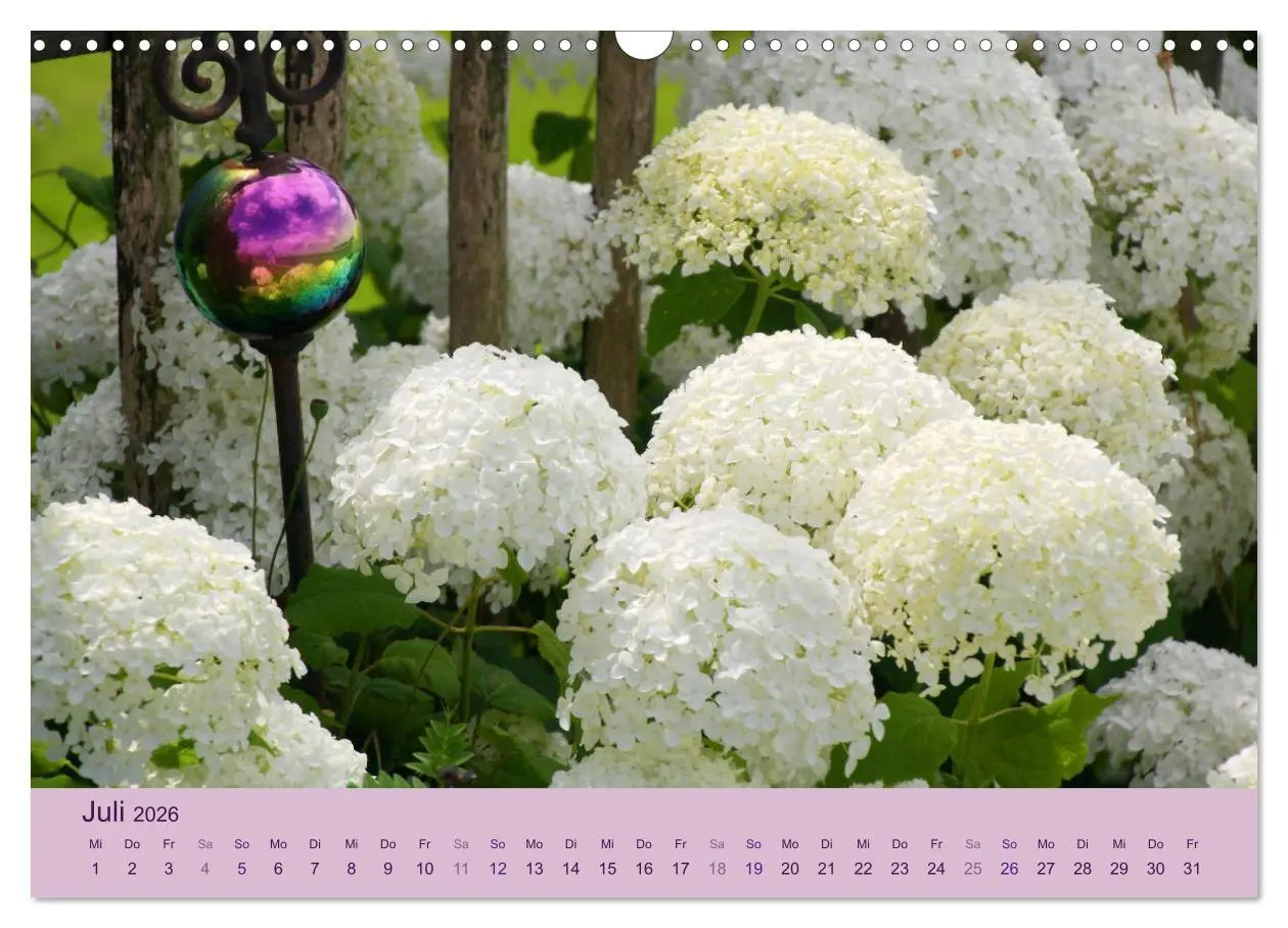 Bild: 9783516127539 | Hortensien 2026. Farbenprächtige Impressionen aus dem Garten...