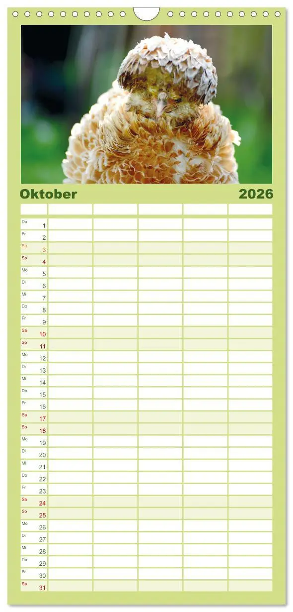 Bild: 9783516507539 | Familienplaner 2026 - Hühner im Garten mit 5 Spalten (Wandkalender,...