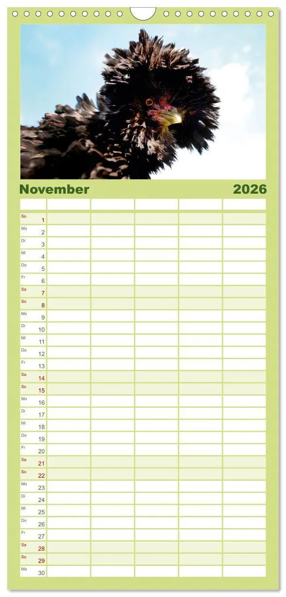 Bild: 9783516507539 | Familienplaner 2026 - Hühner im Garten mit 5 Spalten (Wandkalender,...