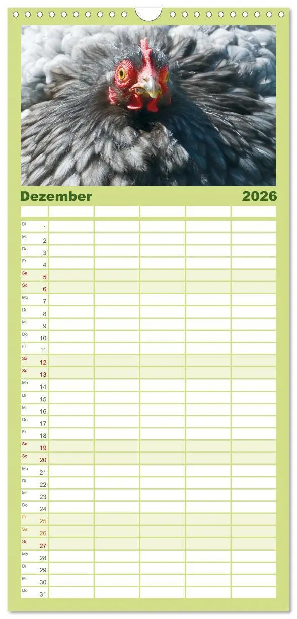 Bild: 9783516507539 | Familienplaner 2026 - Hühner im Garten mit 5 Spalten (Wandkalender,...