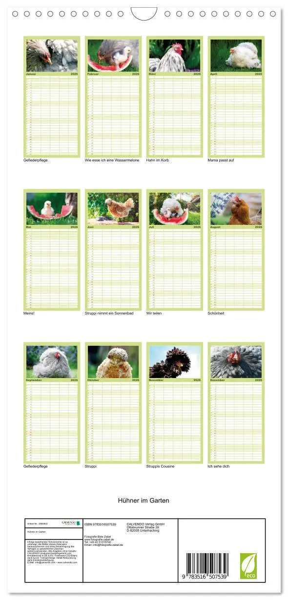 Bild: 9783516507539 | Familienplaner 2026 - Hühner im Garten mit 5 Spalten (Wandkalender,...