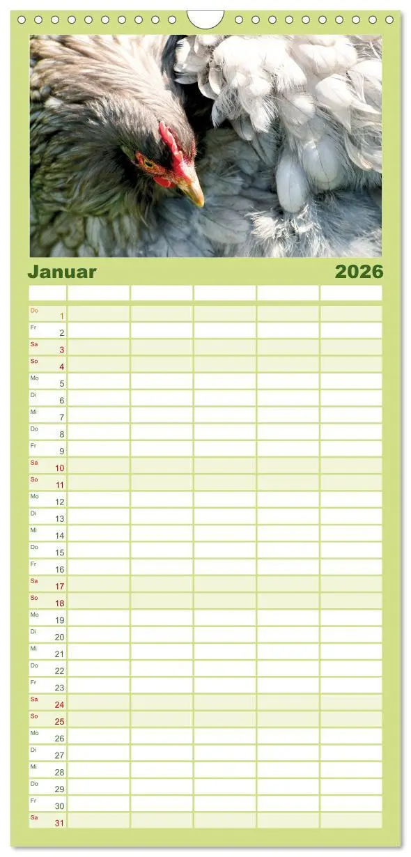 Bild: 9783516507539 | Familienplaner 2026 - Hühner im Garten mit 5 Spalten (Wandkalender,...