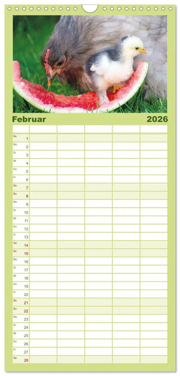 Bild: 9783516507539 | Familienplaner 2026 - Hühner im Garten mit 5 Spalten (Wandkalender,...