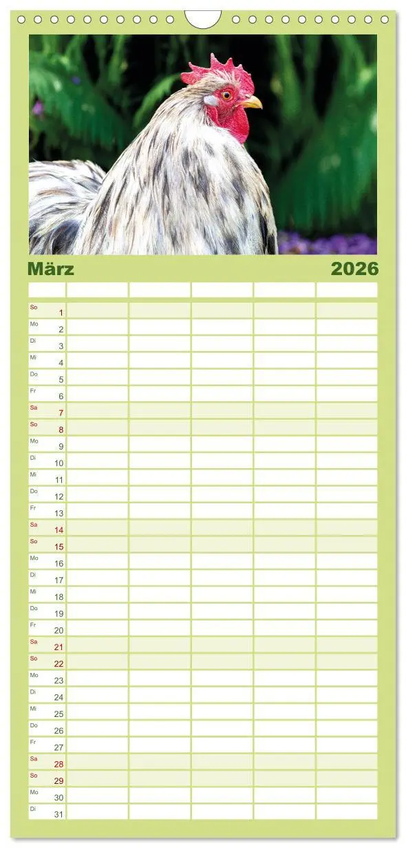Bild: 9783516507539 | Familienplaner 2026 - Hühner im Garten mit 5 Spalten (Wandkalender,...