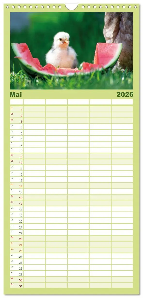 Bild: 9783516507539 | Familienplaner 2026 - Hühner im Garten mit 5 Spalten (Wandkalender,...