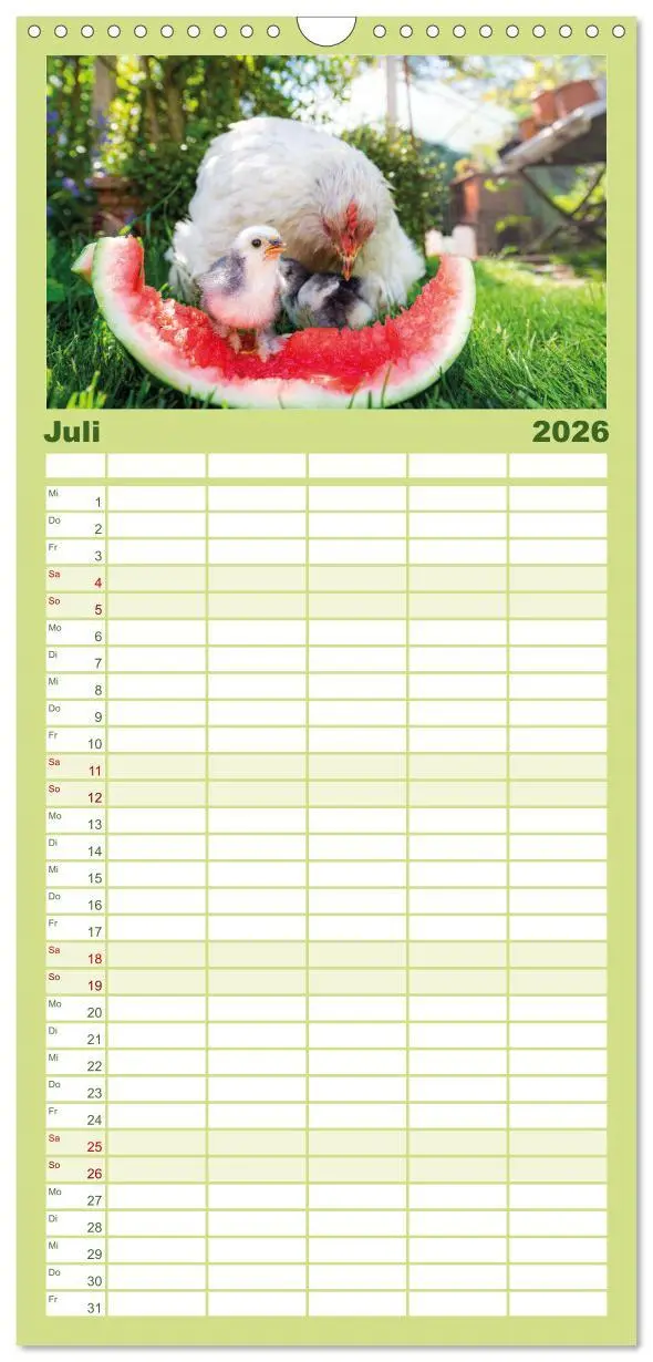 Bild: 9783516507539 | Familienplaner 2026 - Hühner im Garten mit 5 Spalten (Wandkalender,...