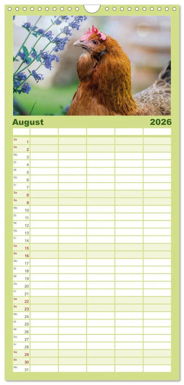Bild: 9783516507539 | Familienplaner 2026 - Hühner im Garten mit 5 Spalten (Wandkalender,...