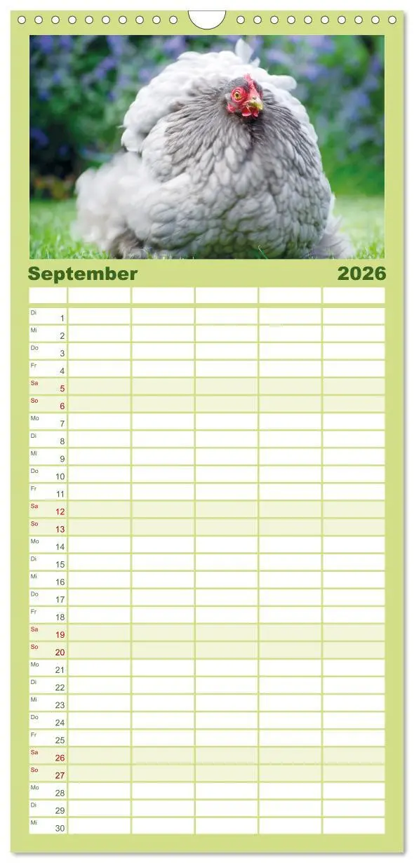Bild: 9783516507539 | Familienplaner 2026 - Hühner im Garten mit 5 Spalten (Wandkalender,...