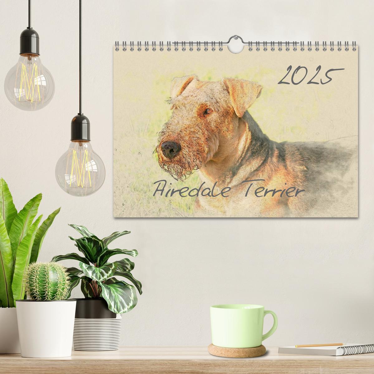 Bild: 9783435627639 | Airedale Terrier 2025 (Wandkalender 2025 DIN A4 quer), CALVENDO...