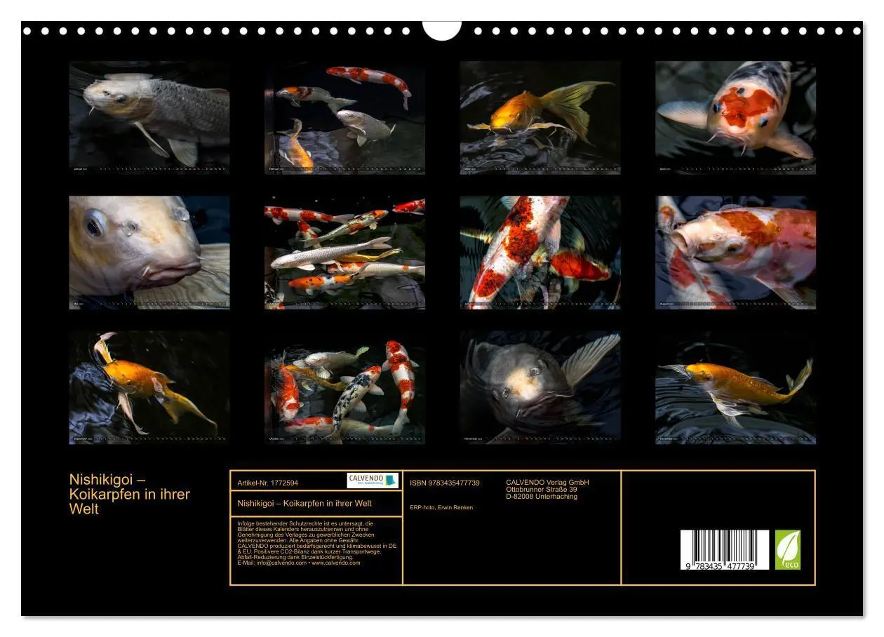 Bild: 9783435477739 | Nishikigoi - Koikarpfen in ihrer Welt (Wandkalender 2025 DIN A3...