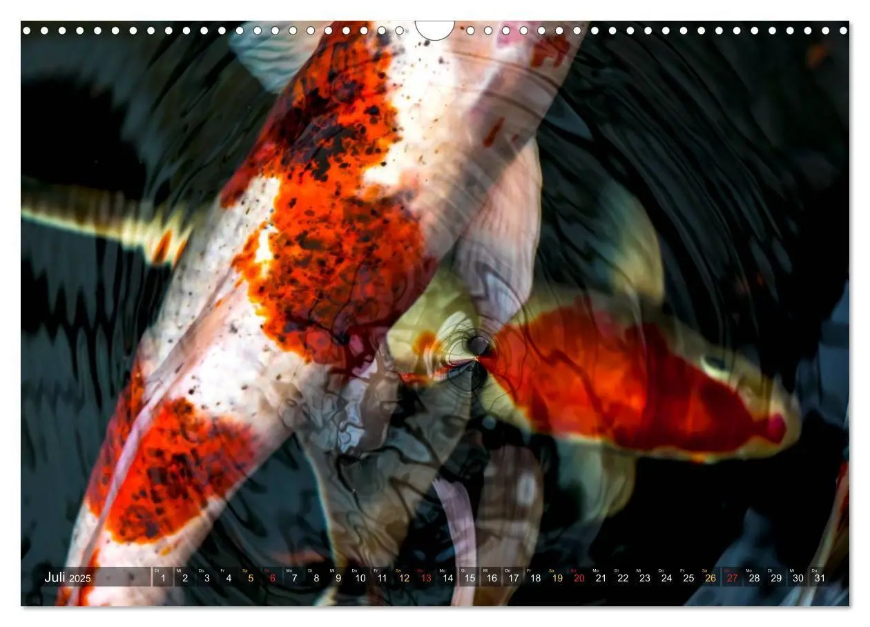 Bild: 9783435477739 | Nishikigoi - Koikarpfen in ihrer Welt (Wandkalender 2025 DIN A3...