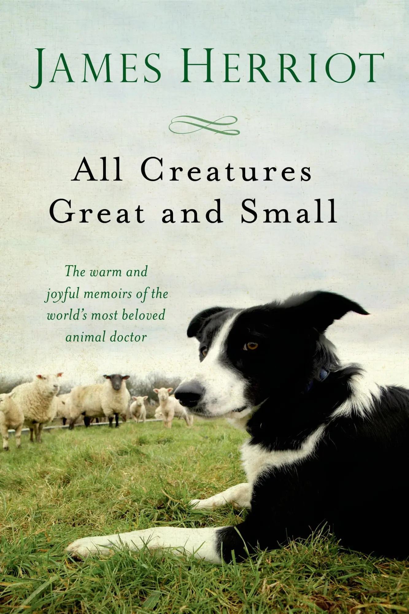 St. Martin's Publishing Group All Creatures Great And Small