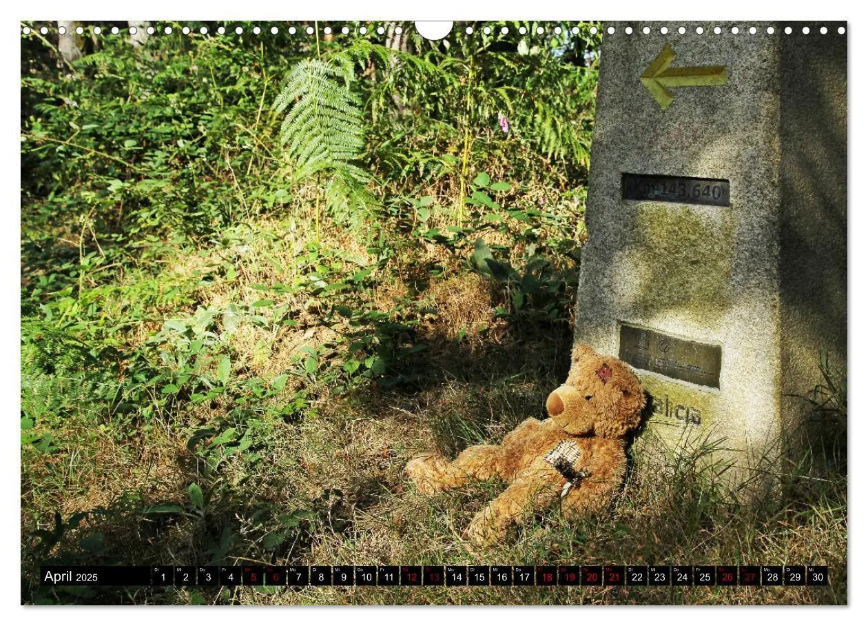 Bild: 9783435157839 | Auf dem Camino Primitivo (Wandkalender 2025 DIN A3 quer), CALVENDO...