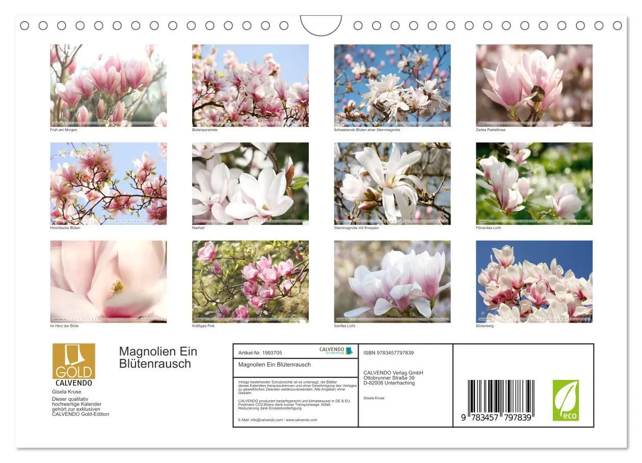 Bild: 9783457797839 | Magnolien Ein Blütenrausch (Wandkalender 2026 DIN A4 quer),...
