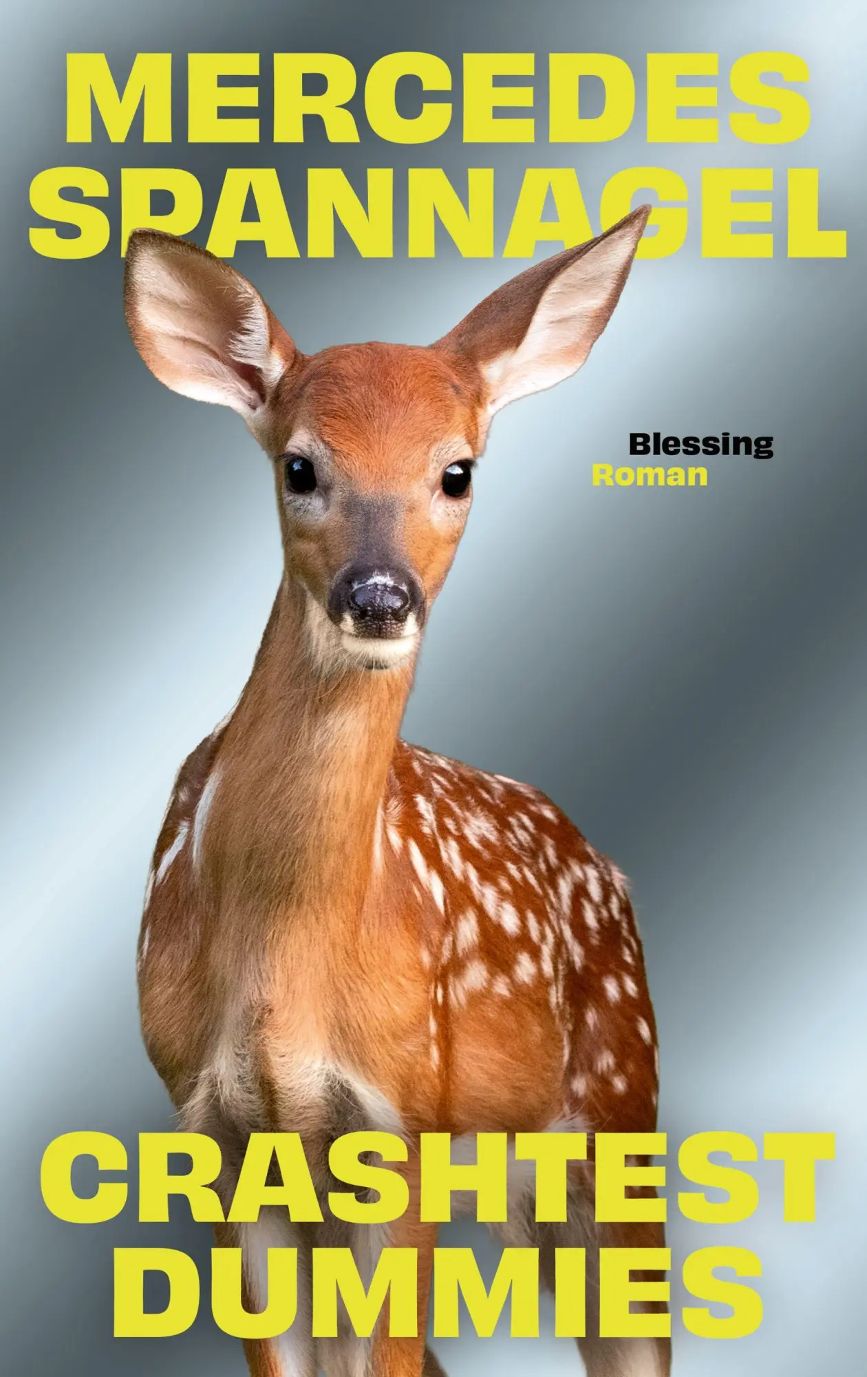 Cover: 9783896677839 | Crashtest Dummies | Mercedes Spannagel | Buch | 400 S. | Deutsch
