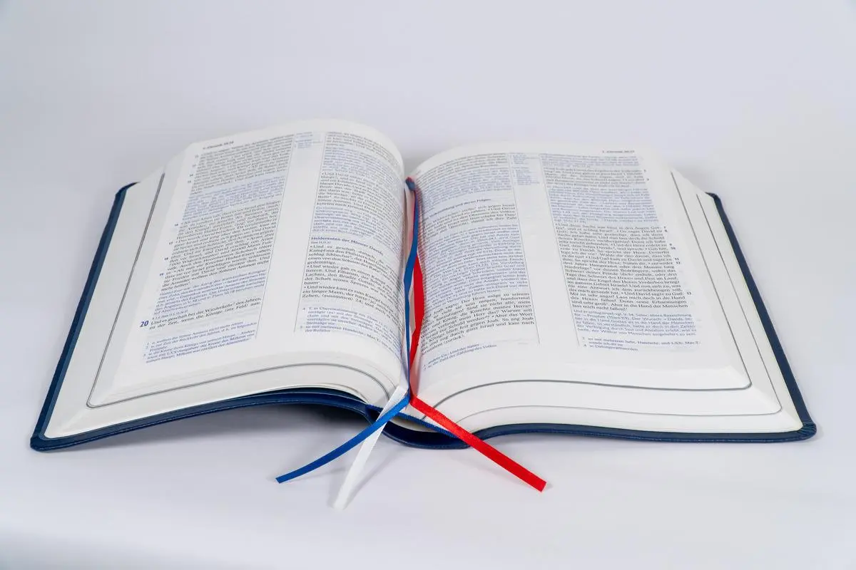 Bild: 9783417257939 | Elberfelder Bibel mit Erklärungen - Leder | Buch | 2032 S. | Deutsch