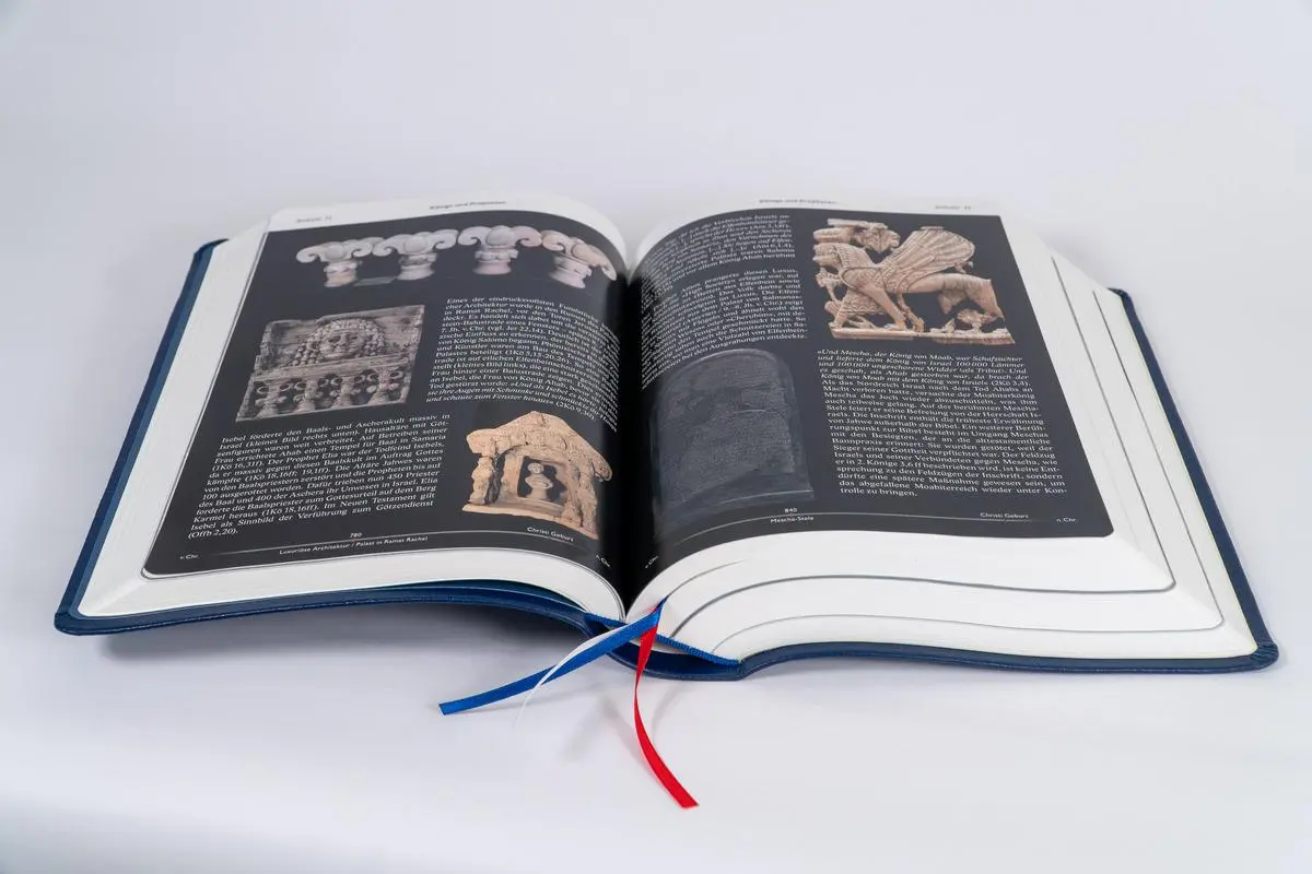 Bild: 9783417257939 | Elberfelder Bibel mit Erklärungen - Leder | Buch | 2032 S. | Deutsch