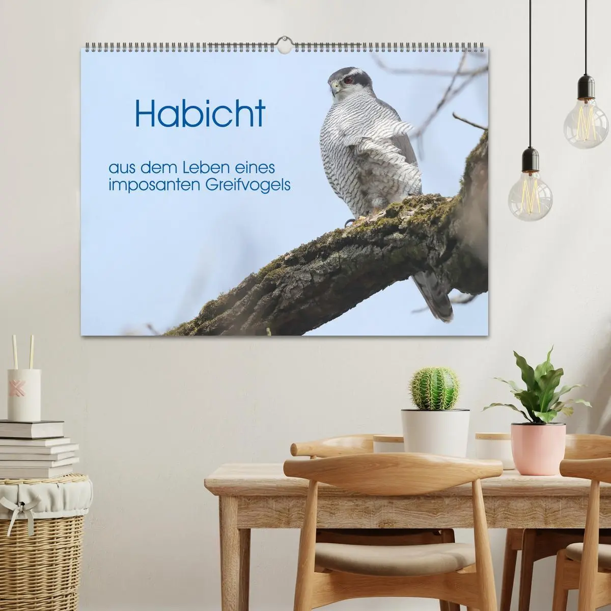 Bild: 9783457477939 | Habicht - aus dem Leben eines imposanten Greifvogels (Wandkalender...