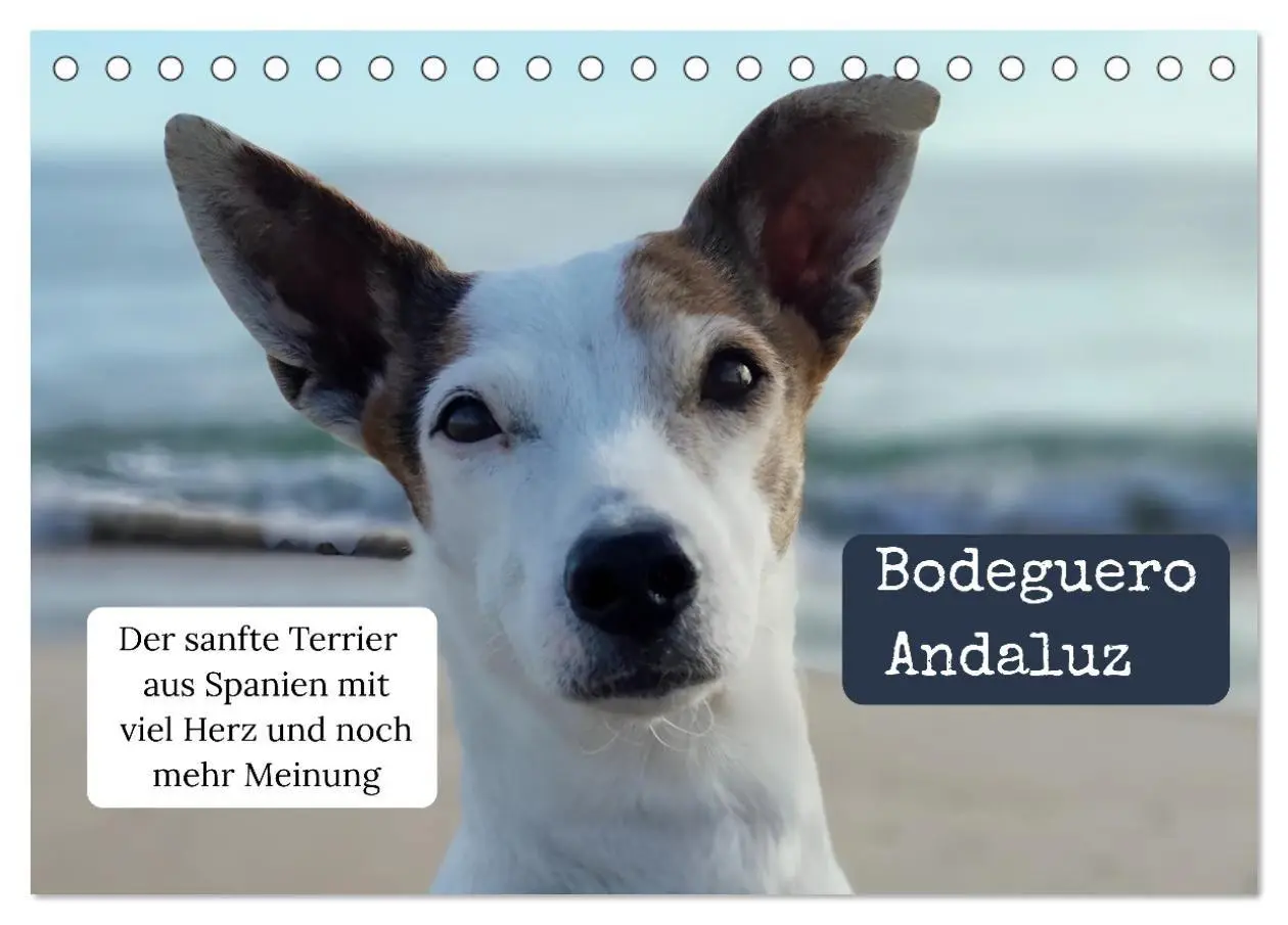 Cover: 9783569417939 | Ratonero Bodeguero Andaluz (Tischkalender 2027 DIN A5 quer),...