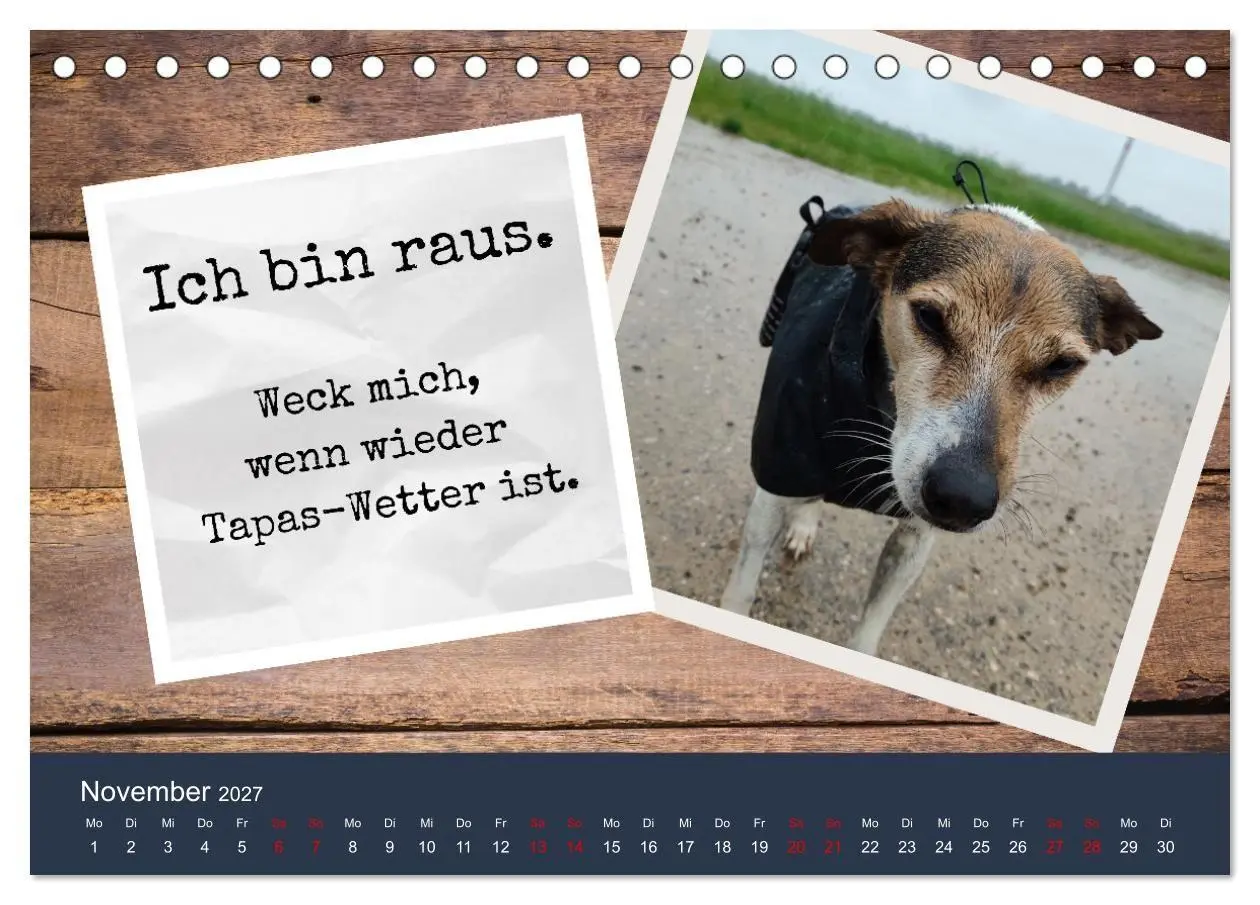 Bild: 9783569417939 | Ratonero Bodeguero Andaluz (Tischkalender 2027 DIN A5 quer),...
